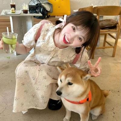 粉黛迷春